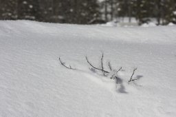 Kandersteg 2013